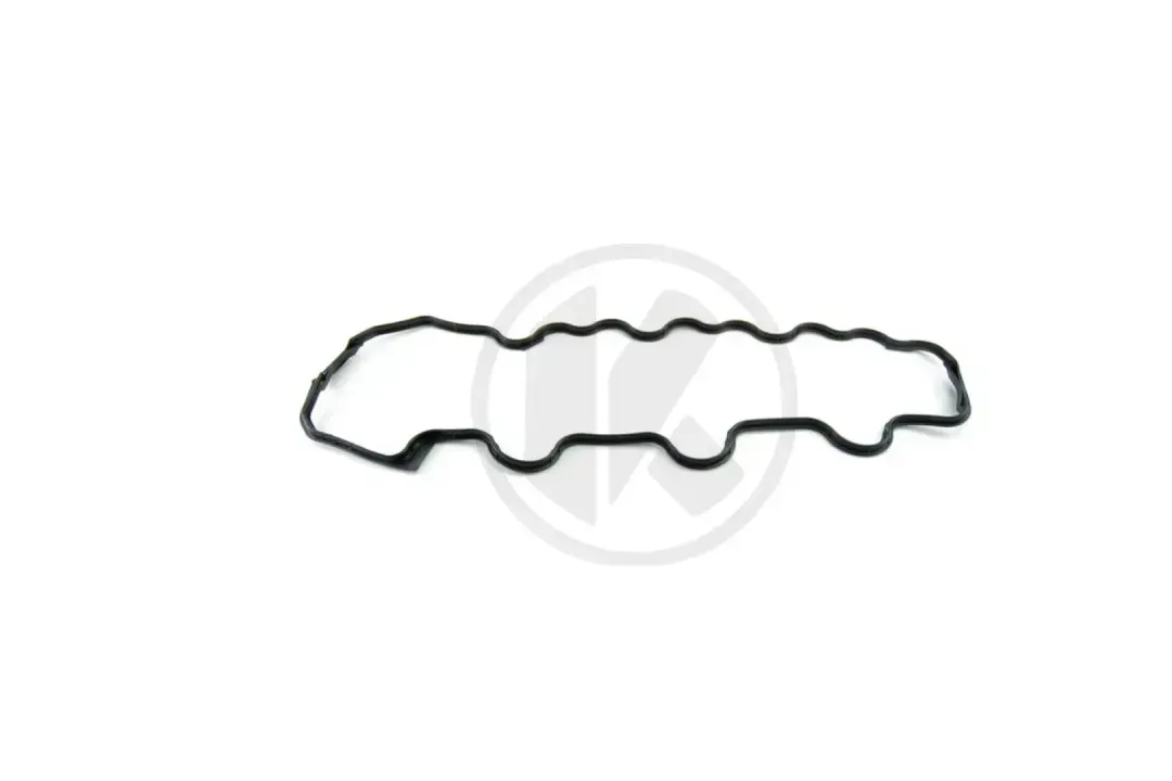 a1120160221   gasket rs